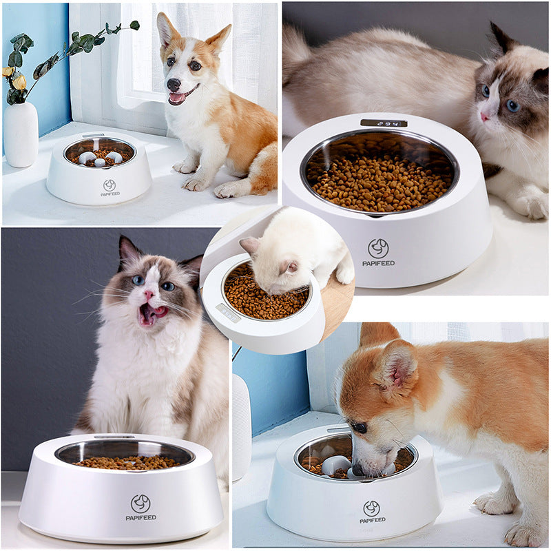 Smart Pet Feeder Bowl with Scale – Portion Control & Slow Eating